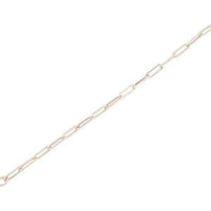 Gold link bracelet with lobster clasp.