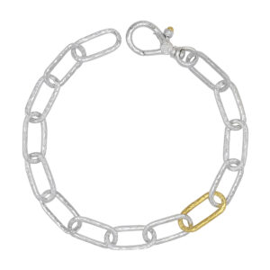 Silver chain bracelet with one gold link, clasped.