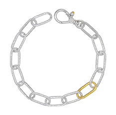 Silver chain bracelet with gold links